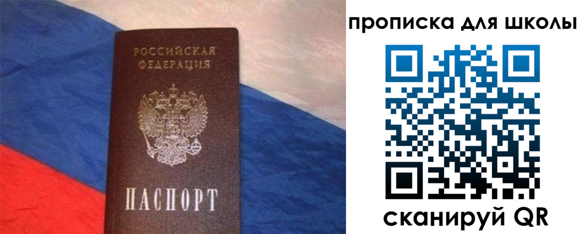 прописка поиск в Пскове